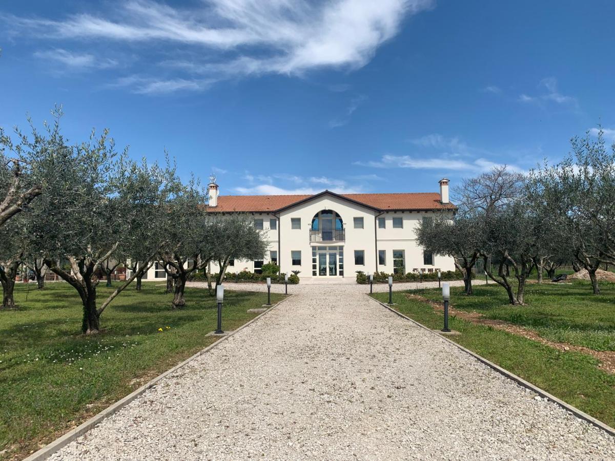 Agriturismo Zappare Farm Hotel Trevignano Eksteriør billede